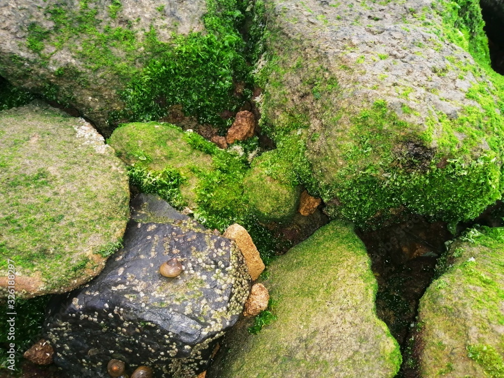 A beautiful landscape of rocks on a beautiful beach A beautiful landscape of rocks on a beautiful beach
