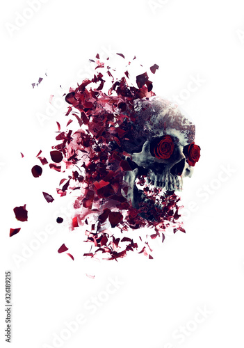 Skull with roses explosion on white, isolated, conceptual image