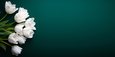 White tulips on green background top view. Happy spring Holidays. Valentine's day. Birthday. Women's day. Easter. Flower wedding card, invitation, banner	