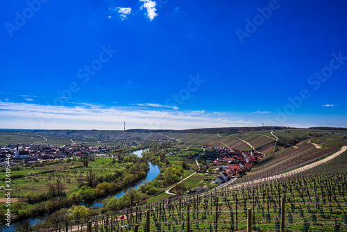 View over the idyllic Main Valley  the vineyards  the Main Loop at the town of Volkach  germany