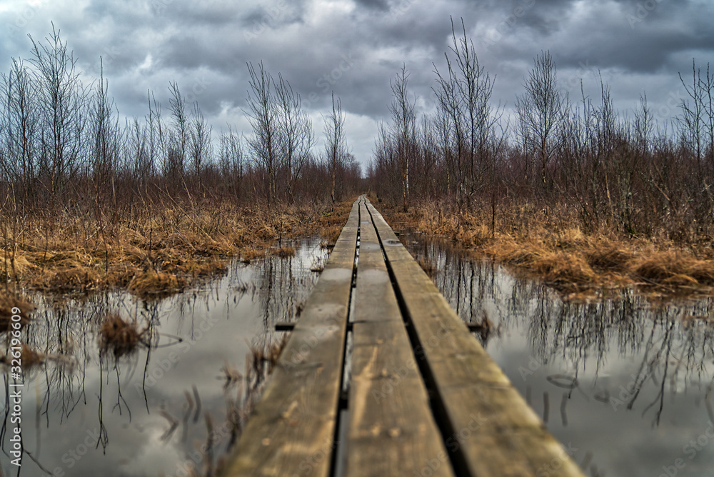 Rickety wooden boardwalk over swamp during rain
