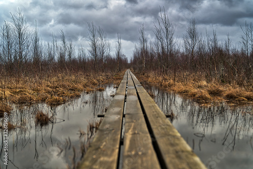 Rickety wooden boardwalk over swamp during rain © Adamos