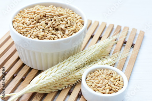 Oat grains accompanied by wheat ears in containers for display