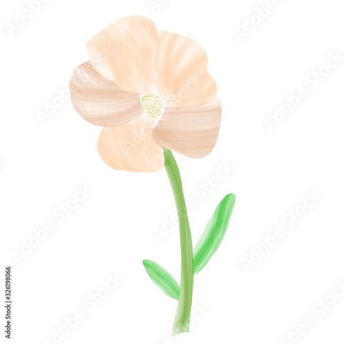 Isolated watercolor flower