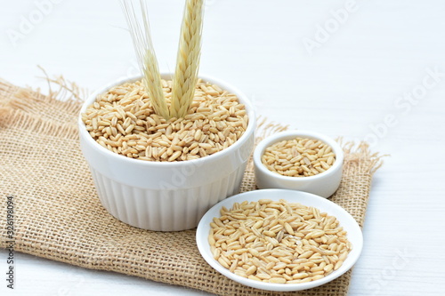 Oat grains accompanied by wheat ears in containers for display