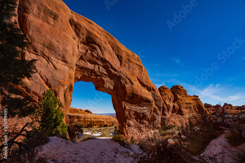 Pine Tree Arch in the Snow