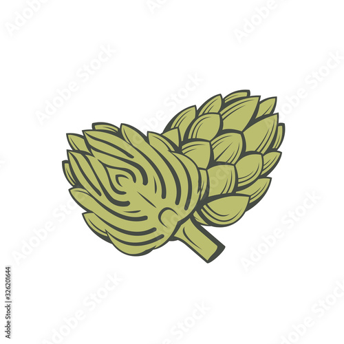 green artichoke bud vegetable illustration isolated on white background