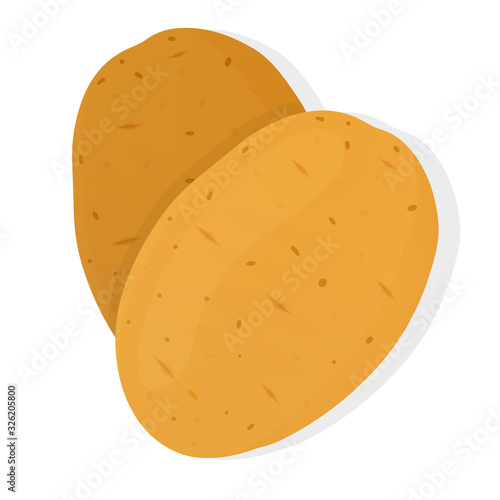 Two potatoes isolated on white background. Unpeeled potatoes tuber. Vector illustration.