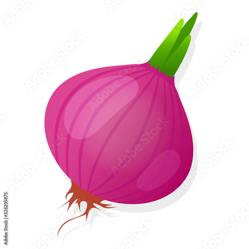 Unpeeled red onion bulb with green sprout isolated on white background. Ripe onion. Vector illustration.