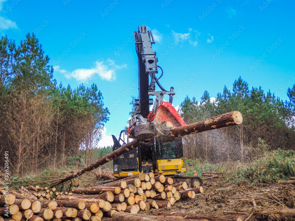 Fototapeta premium Logging Equipment