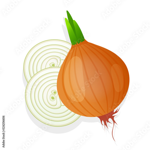 Unpeeled onion bulb with green sprout and slice isolated on white background. Ripe onion. Vector illustration.