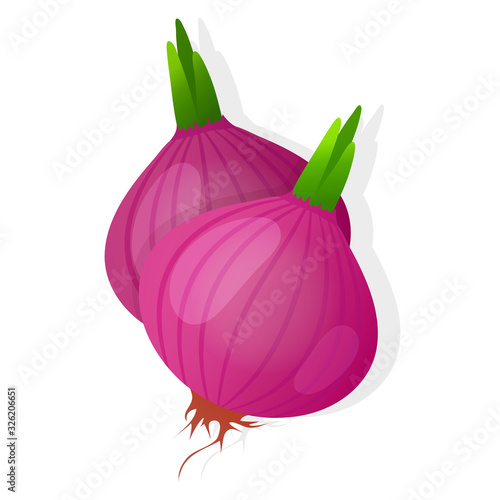 Two unpeeled red onions bulb with green sprout isolated on white background. Ripe onion. Vector illustration.