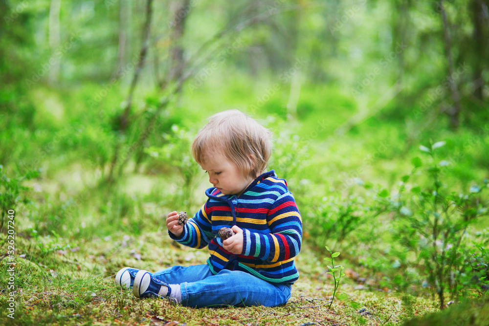 Adorable baby girl in the forest, sitting on the ground and playing with pine cones Adorable baby girl in the forest, sitting on the ground and playing with pine cones