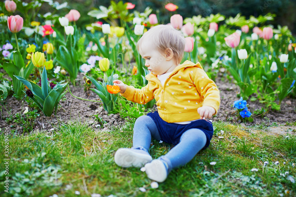 One year old girl sitting on the grass with colorful tulips One year old girl sitting on the grass with colorful tulips