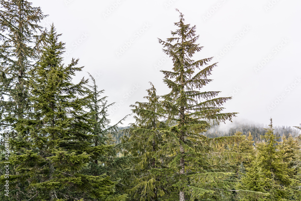 Fototapeta premium Beautiful Mountain with clouds view from Grouse Mountain, Vancouver, British Columbia, Canada.