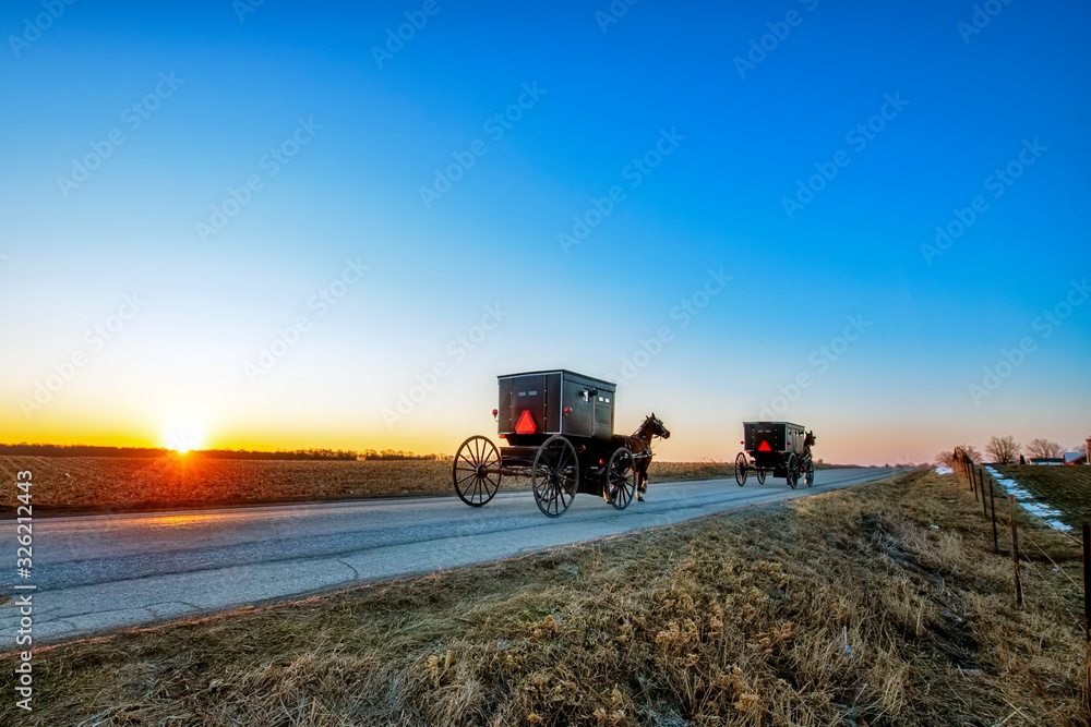 Amish Buggies on Rural Road at Daybreak