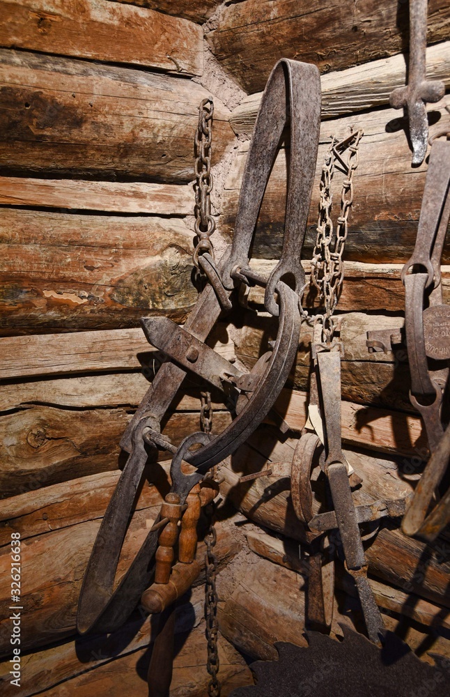old fashioned trapper's gear in a log cabin 