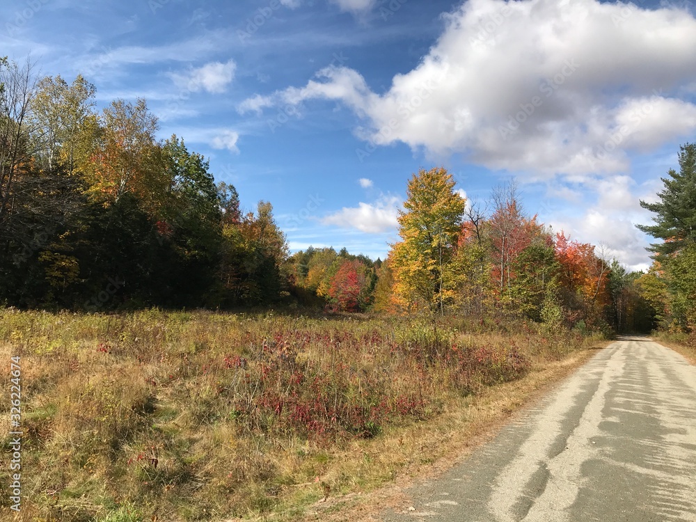 Naklejka premium Country lane