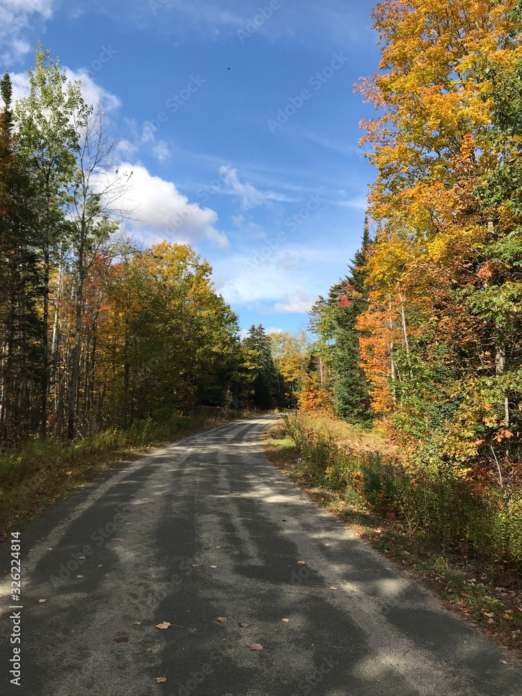 Autumn lane Autumn lane
