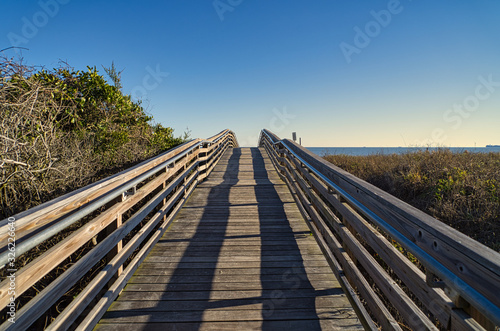 Eine einsame Holzbrücke mit Sträuchern an der Seite, die zum Strand führt © Angelika Beck