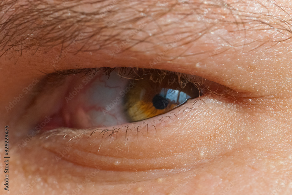 Fototapeta premium Human eye close-up.