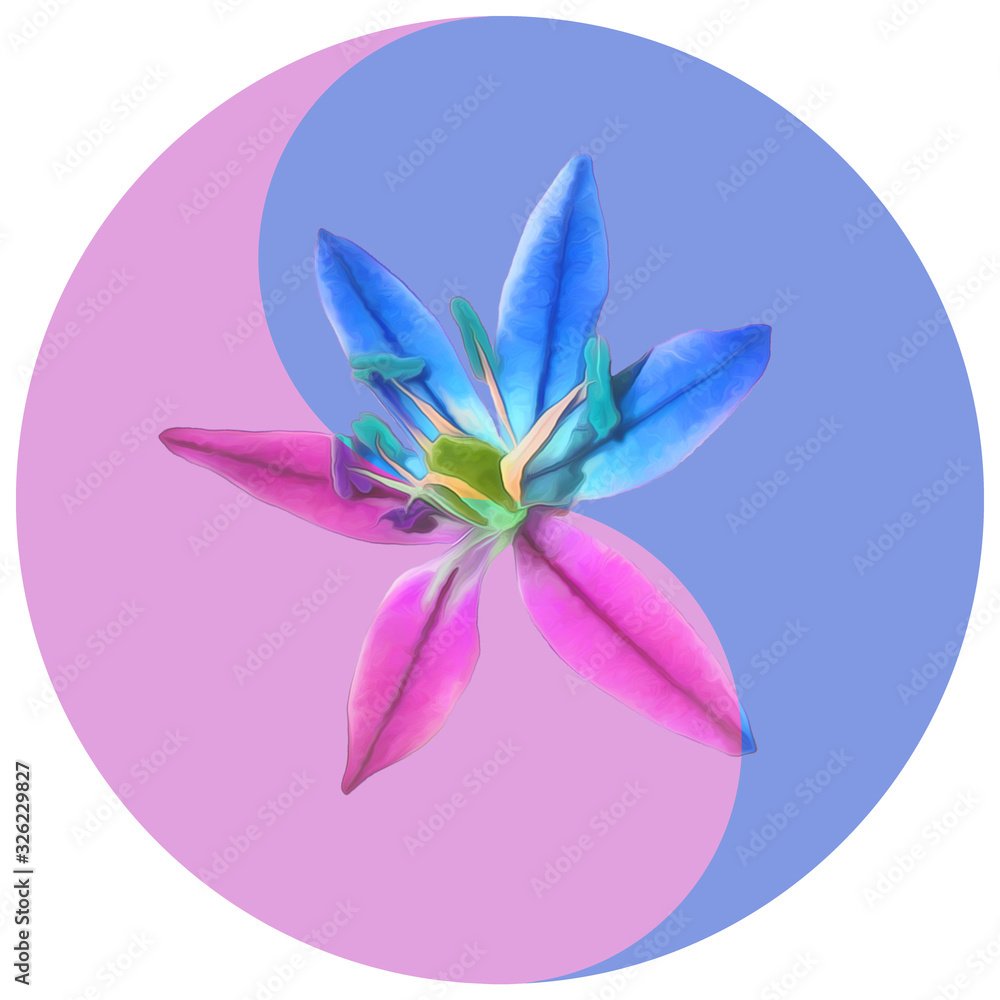 Floral symbol Yin-Yang. Bluebell. Geometric pattern of Yin-Yang symbol, from plants on colored background in Oriental style. Yin Yang symbol from flowers, petals. Flower illustration of mandala.