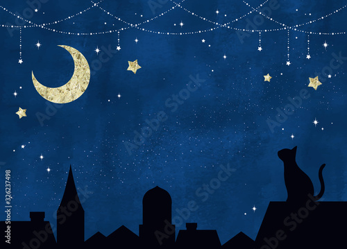星空と月と黒猫