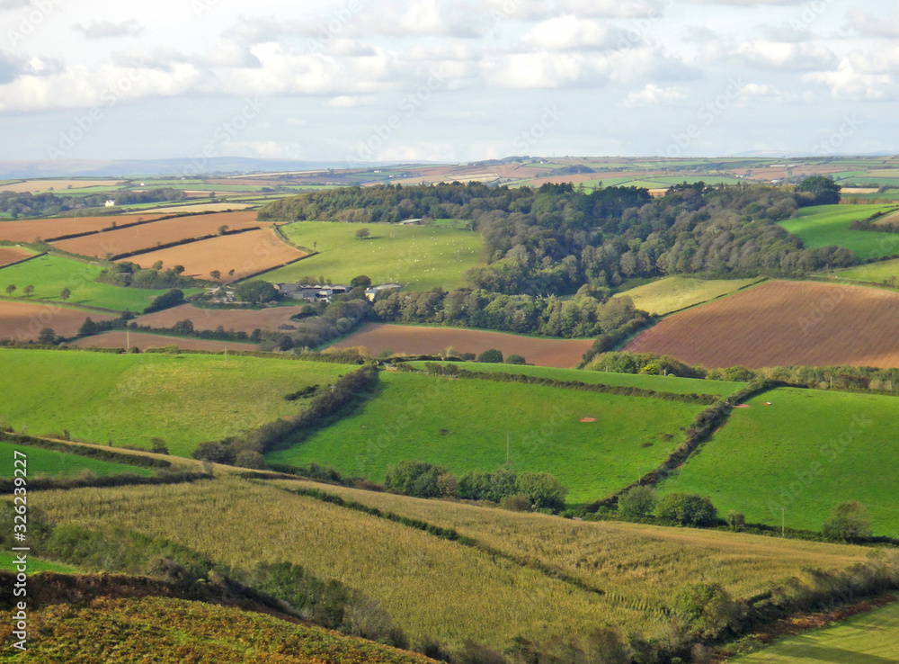fields of South Devon