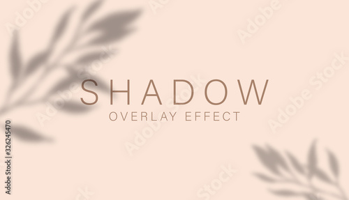 Shadow overlay effect. Transparent soft light and shadows from branches, plant, foliage and leaves. Mockup of transparent leaf shadow overlay effect and natural lightning. Vector mock up gradient mesh