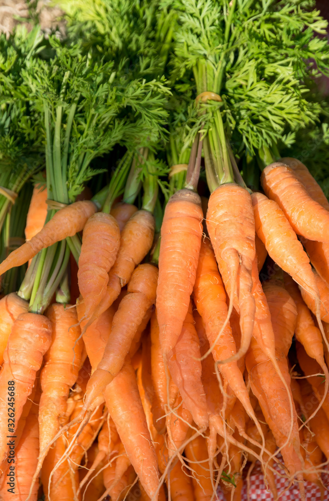 Carrots in the fresh market from the organic farm Carrots in the fresh market from the organic farm