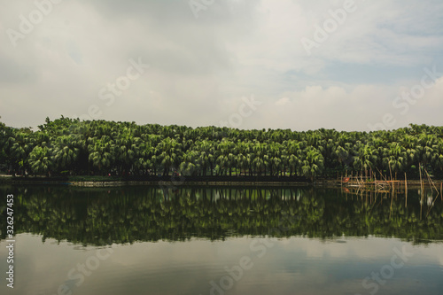 Lake in Liuhua Park. Trees reflected in the water mirror. Beautiful and pacific place.