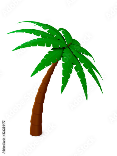 palm tree on white backgrou...