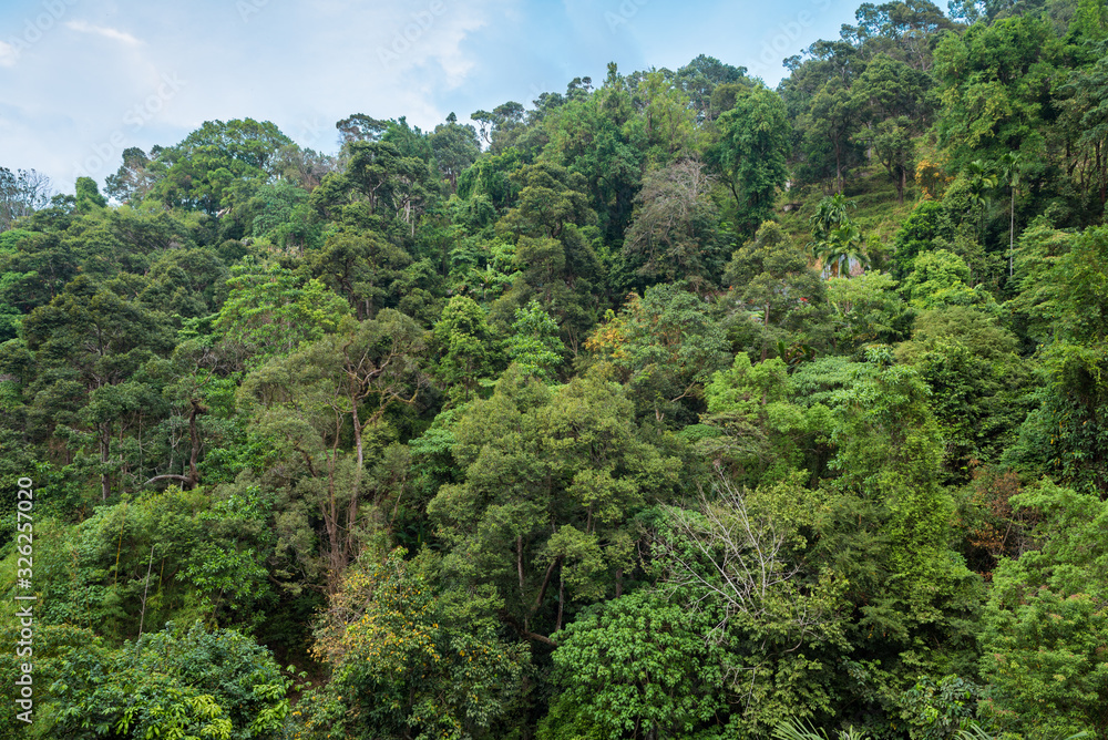 The Penang National Park, previously known as the Pantai Acheh Forest Reserve, located at the northwestern tip of Penang Island