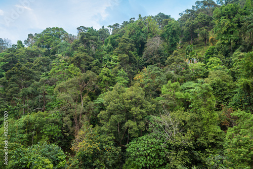 The Penang National Park, previously known as the Pantai Acheh Forest Reserve, located at the northwestern tip of Penang Island
