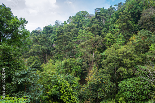 The Penang National Park, previously known as the Pantai Acheh Forest Reserve, located at the northwestern tip of Penang Island