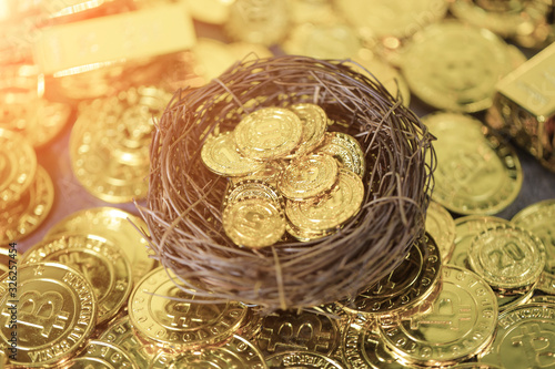 Gold coins in the nest