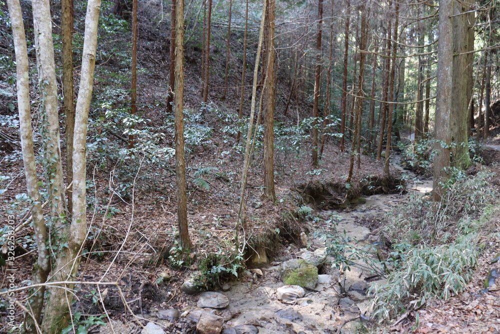 猿投山の景色 猿投山の景色
