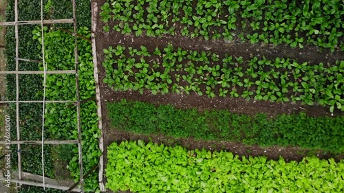 Overhead moving forward view of the garden garden