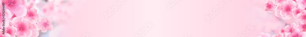 panoramic Japanese Spring Sakura cherry blossoms 728x90 size website leaderboard banner background. 3D Illustration Clip-Art with Floral spring petal design header. copy space in pink, white and blue