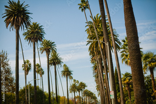 Street in Beverly Hills