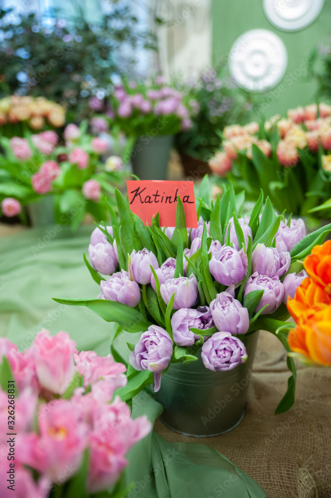  Flower show . Chic bouquet of lavender colour tulips  variety  Katinka .  Spring summer background