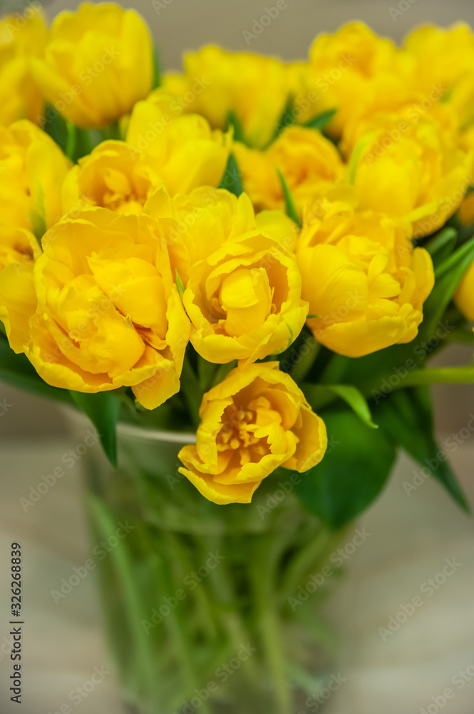 Spring bright yellow tulips in a vase. Hello Spring and Woman day concepts Spring bright yellow tulips in a vase. Hello Spring and Woman day concepts