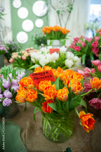  Chic bouquet of orange tulips  variety Orange Princess . Flower show , spring summer background