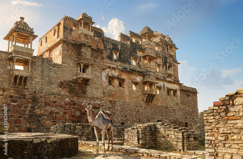 Camel for tourist ride at the ancient ruins of Rana Kumbha Palace at Chittorgarh Fort Rajasthan photo