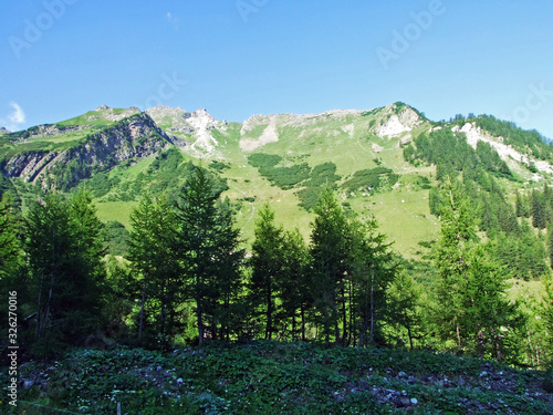 View of the picturesque peaks of the Liechtenstein Alps mountain massif from the Naaftal alpine valley - Steg, Liechtenstein photo