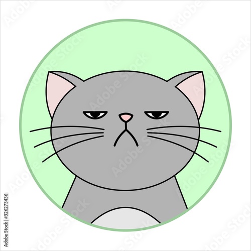 Cute Naughty, Grumpy Cat, Round Icon, Emoji. Gray Cat With A Whiskers Is Unhappy, Vector Image Isolated On A White Background.