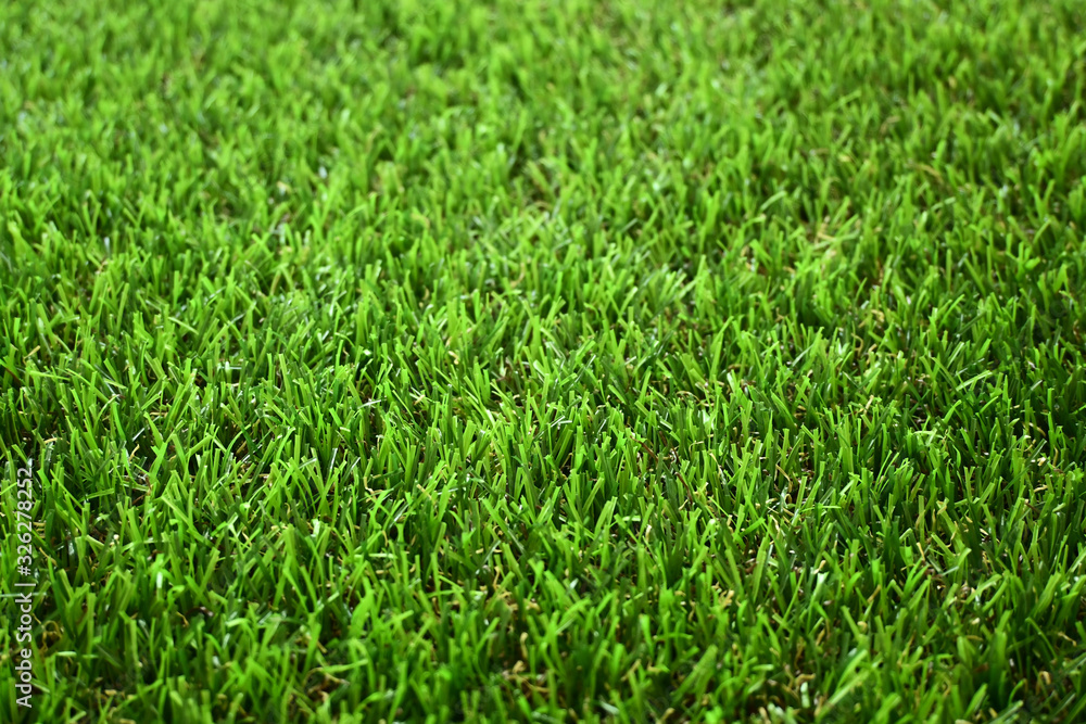 Obraz premium Sztuczna trawa zielona trawa