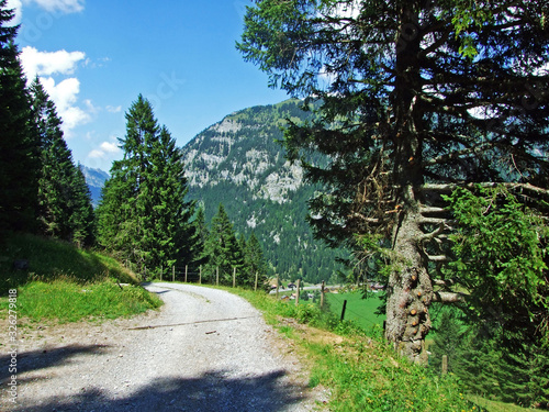 Walking and hiking trails in the Liechtenstein Alps mountain range, and along the Naaftal and Saminatal Alpine valleys - Steg, Liechtenstein photo