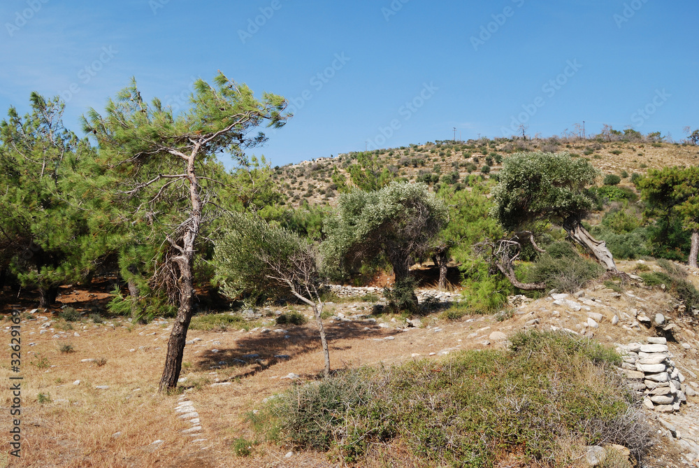 Fototapeta premium Greece, Tassos island - Sea, mountains