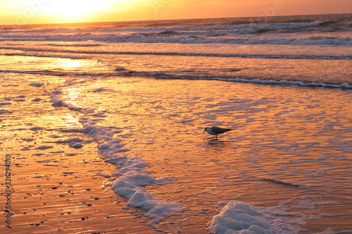 Sunrise 2